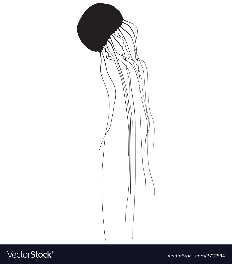 Silhouette Jellyfish 947x1080 Silhouette Jellyfish
