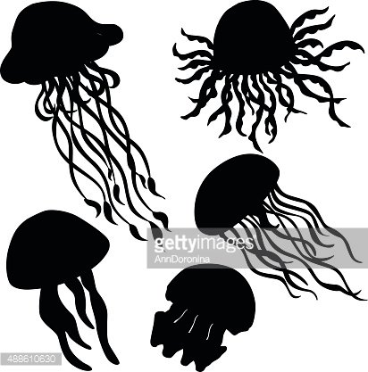 Vector Illustration Of Different Silhouettes Jellyfish Stock 412x417 Vector Illustration Of Different Silhouettes Jellyfish Stock