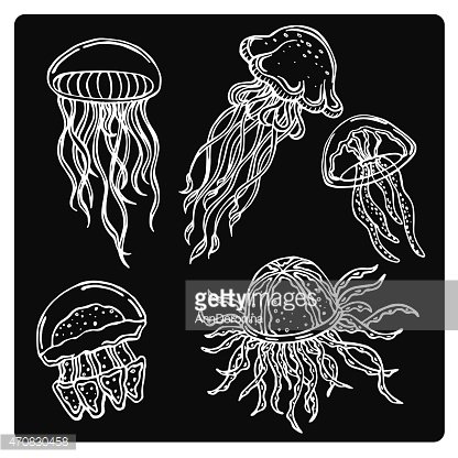 Vector Silhouette Of Various Jellyfish Stock Vectors 416x416 Vector Silhouette Of Various Jellyfish Stock Vectors