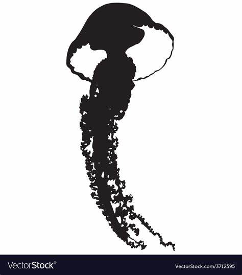 Jellyfish Silhouette Royalty Free Vector Image 474x538 Jellyfish Silhouette Royalty Free Vector Image