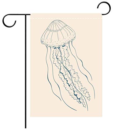 Jellyfish Vector