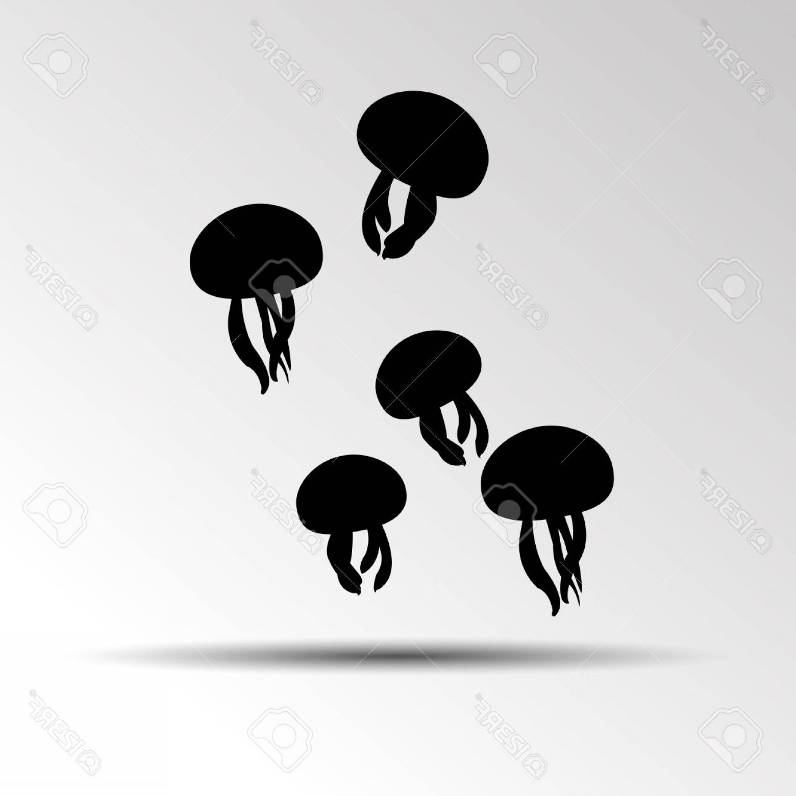 1560x1560 Jellyfish Vector Createmepink