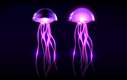 411x260 Jellyfish Vector Graphics To Download