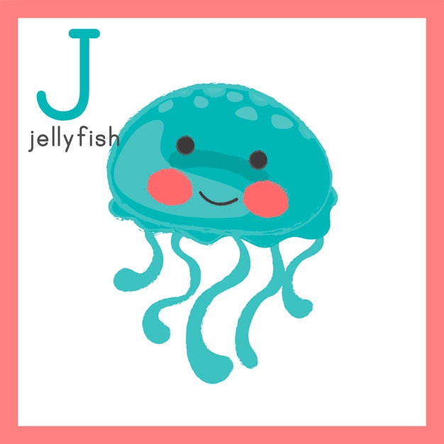 626x626 Jellyfish Vectors, Photos And Free Download