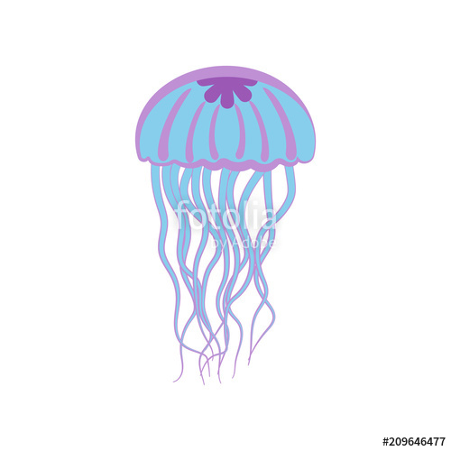 500x500 Jellyfish Vector Illustration Stock Image And Royalty Free Vector