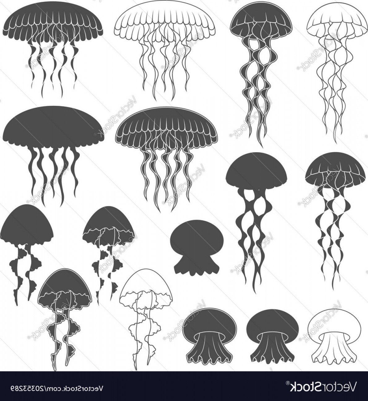1189x1296 Set Of Black And White Images With Jellyfish Vector Hoodamathrun
