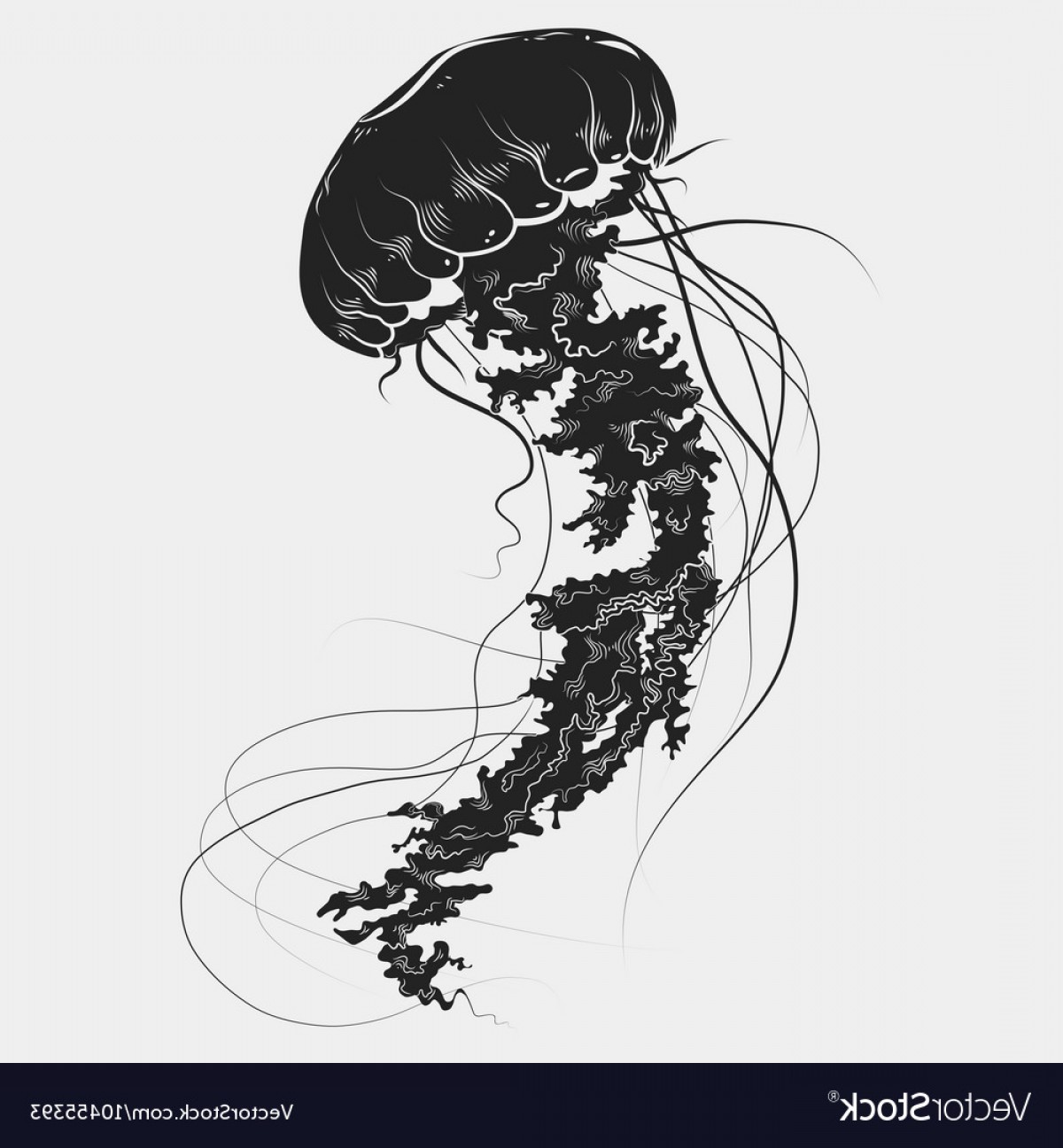 1200x1296 Hand Drawn Graphic Jellyfish Vector Newwaysys