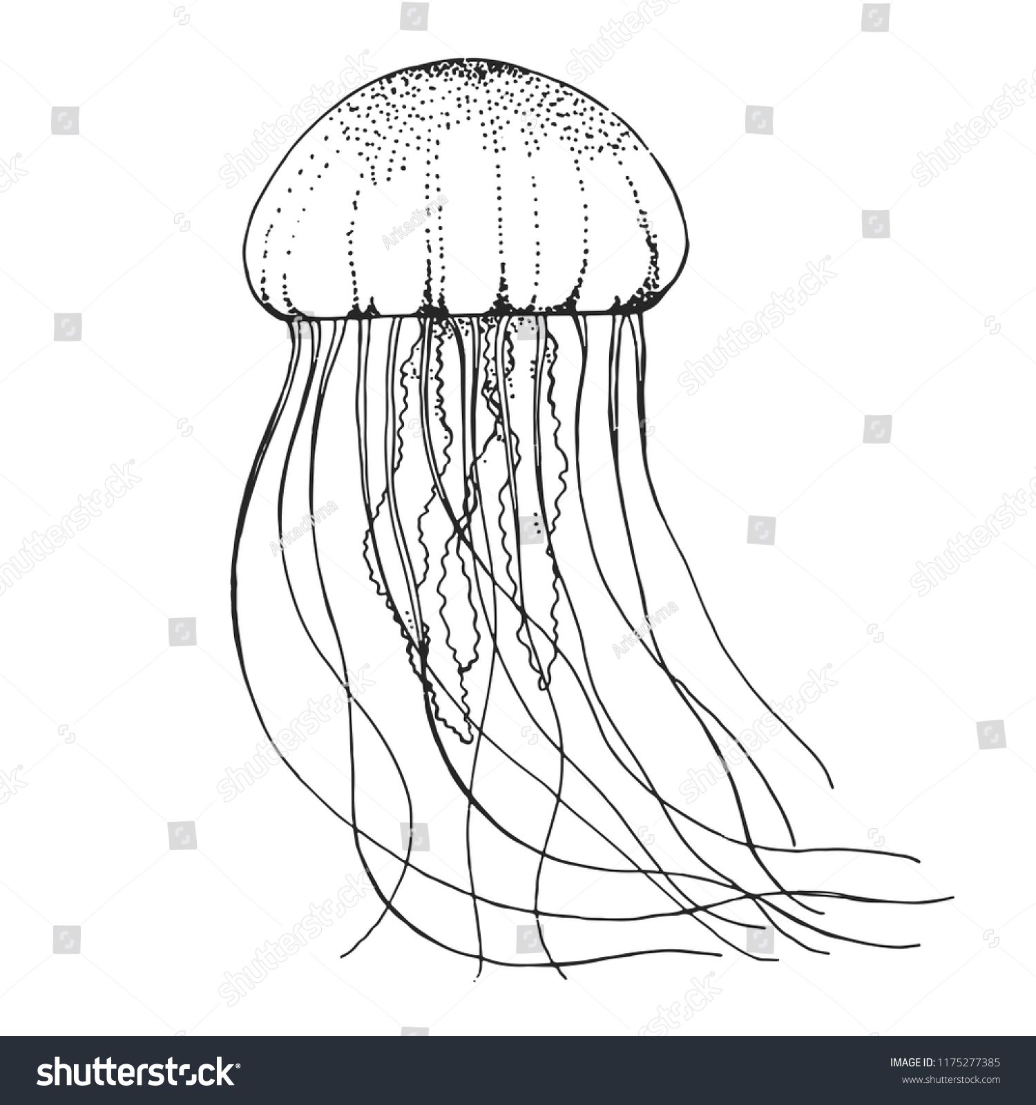 Медуза шаблон для рисования