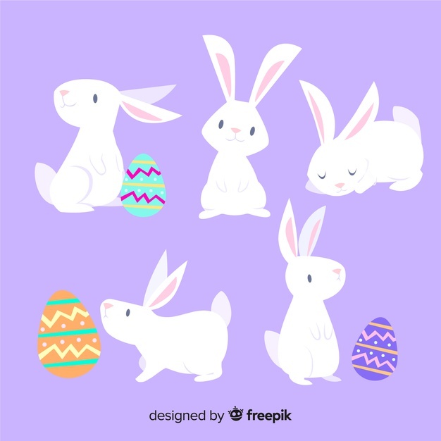 626x626 Rabbit Vectors, Photos And Free Download