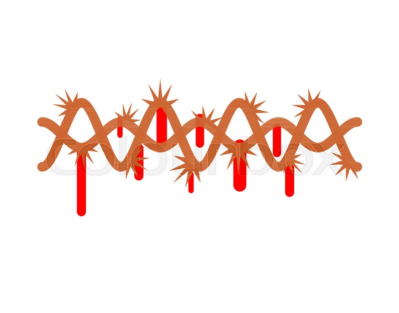 800x627 Crown Of Thorns Isolated For Jesus Stock Vector Colourbox