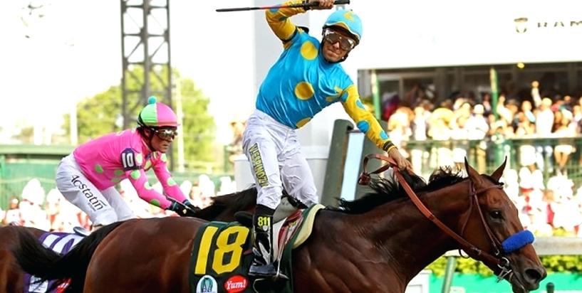 817x412 Horse Racing Silks Jockey Uniform Jackets And Hats Riding Icons