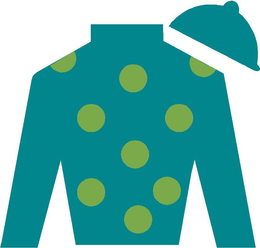 Jockey Silks Vector at Vectorified.com | Collection of Jockey Silks