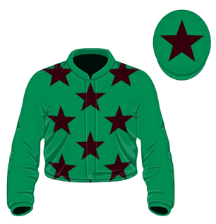 306x317 Vector Graphic Horse Racing Silks Delivered Through Our Api