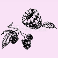 240x240 Join, Or Die Photo Page