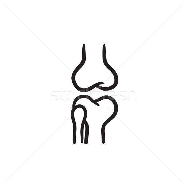 600x600 Knee Joint Sketch Icon Vector Illustration Andrei Krauchuk