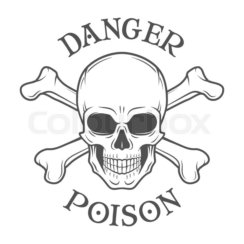 800x800 Human Evil Skull Vector Jolly Roger Stock Vector Colourbox