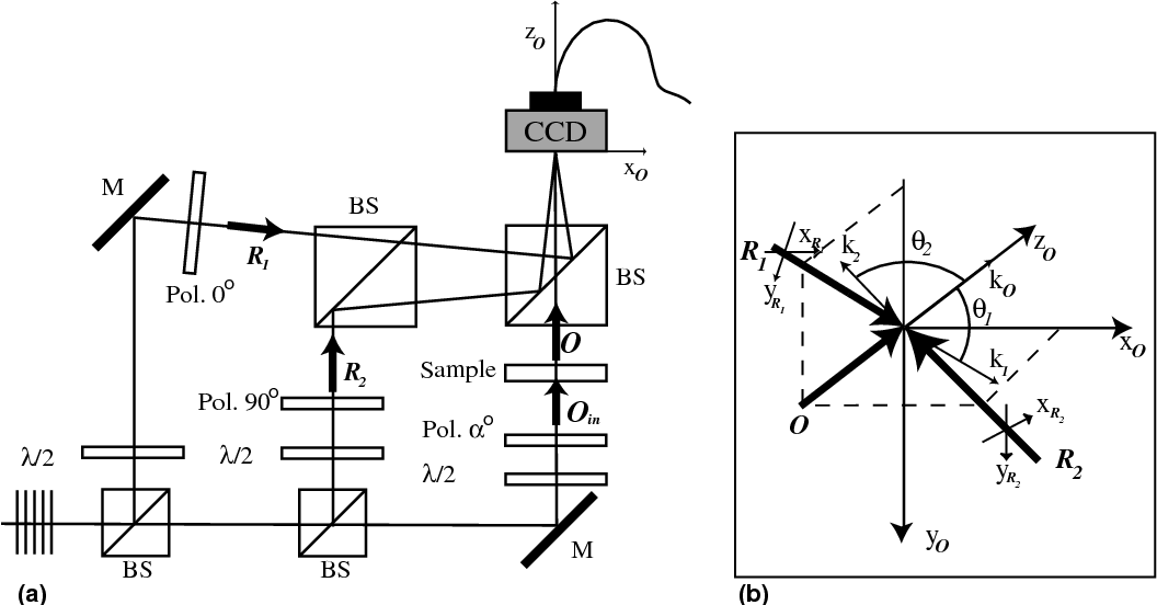 1056x552 Jones Vector Imaging