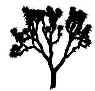 320x305 Joshua Tree Clipart