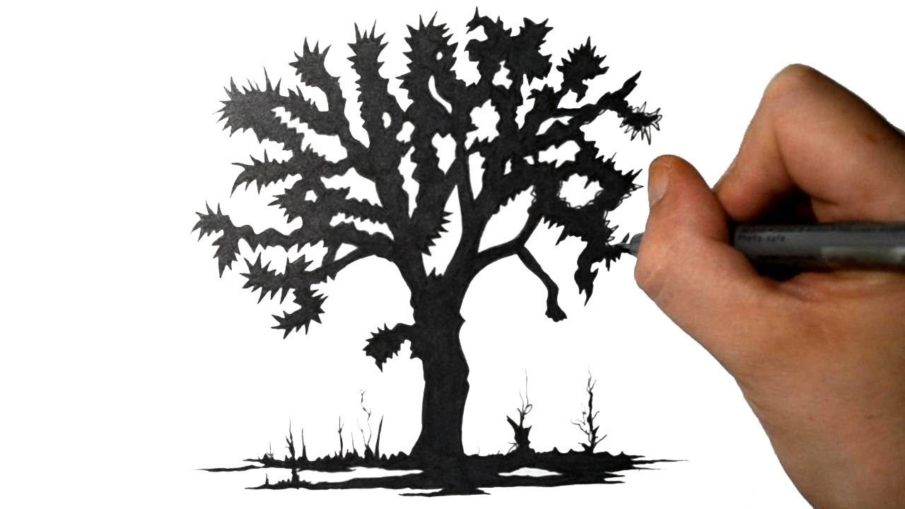 1280x720 Joshua Tree Silhouette