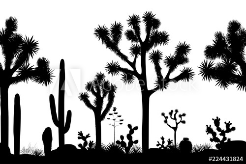 500x334 Desert Seamless Pattern With Silhouettes Of Joshua Trees, Opuntia