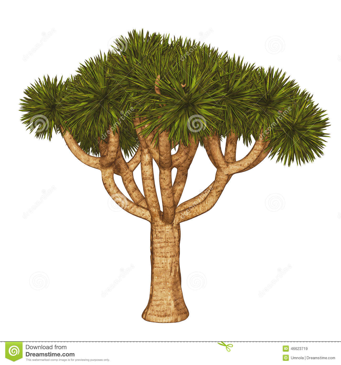1300x1390 Joshua Tree Clipart Free Cliparts Download Images