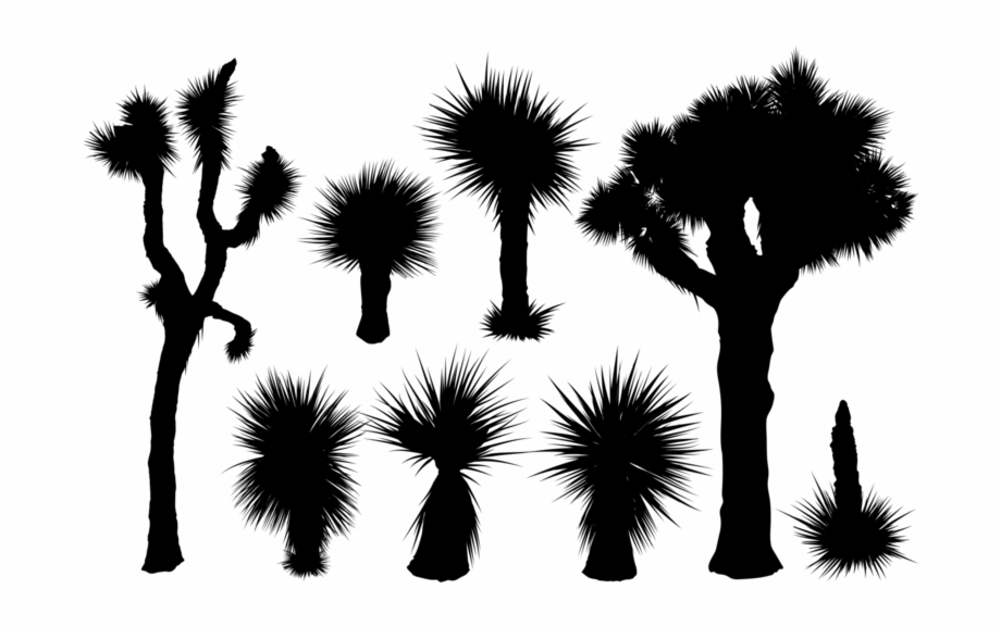 920x577 Yucca Silhouettes Vector
