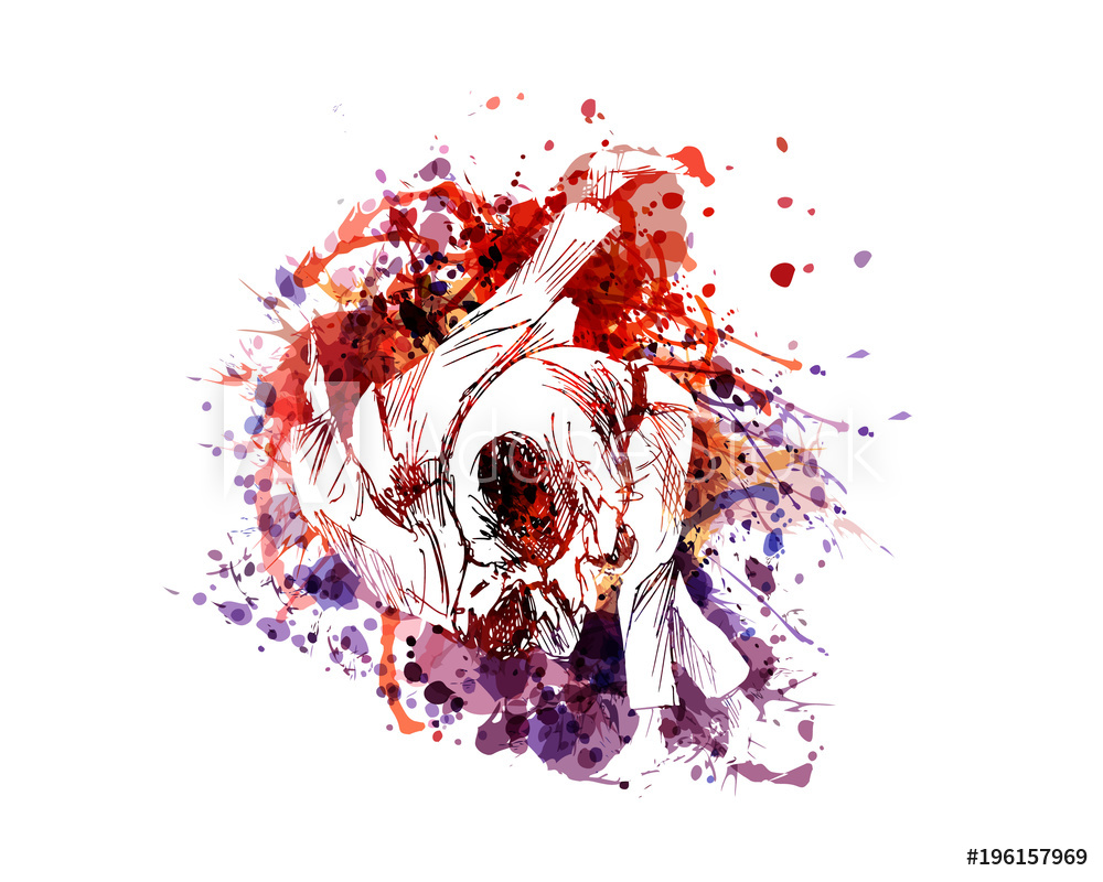 1000x800 Photo Art Print Vector Color Illustration Of Judo Fighters