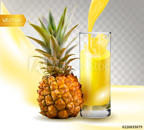 500x450 Pineapple Juice Fresh Fruit And A Splash Glass Of Juice Vector