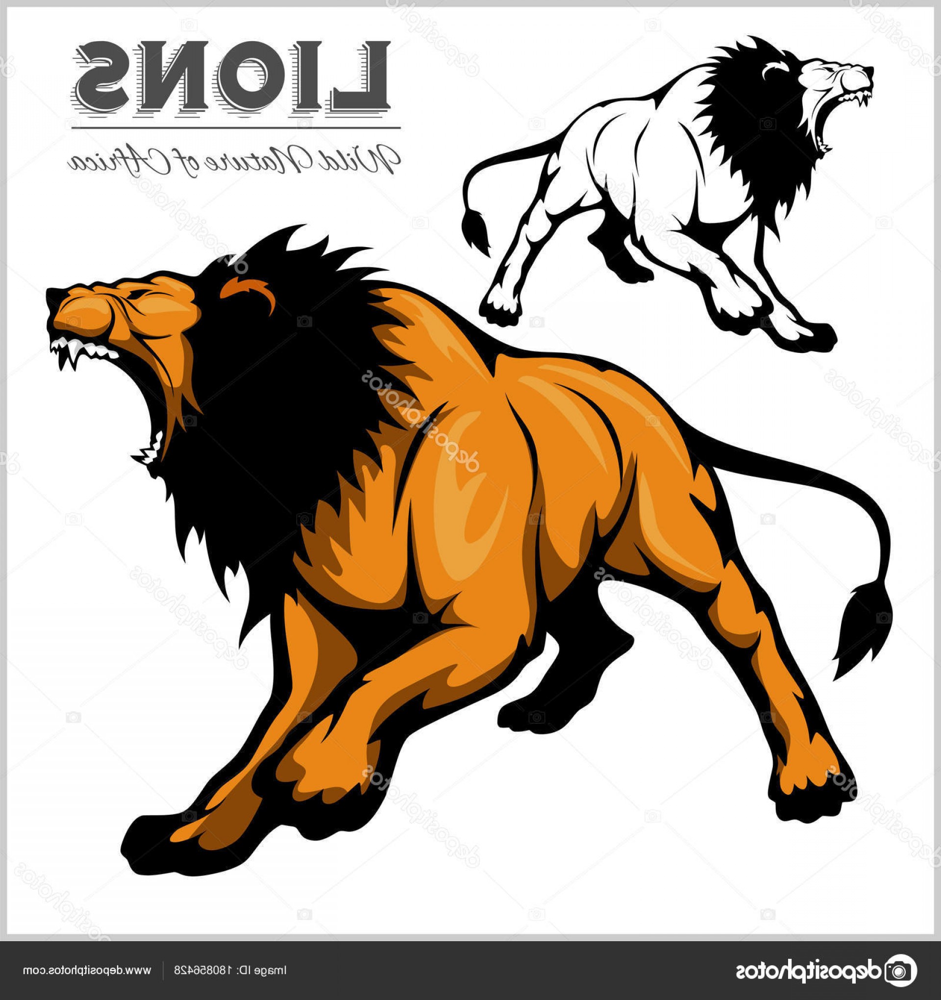 1920x2040 Stock Illustration Lion Jump Vector Illustration Isolated Soidergi