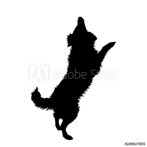 Illustration Of Jumping Dog Icon Vector Silhouette On White 500x500 Illustration Of Jumping Dog Icon Vector Silhouette On White