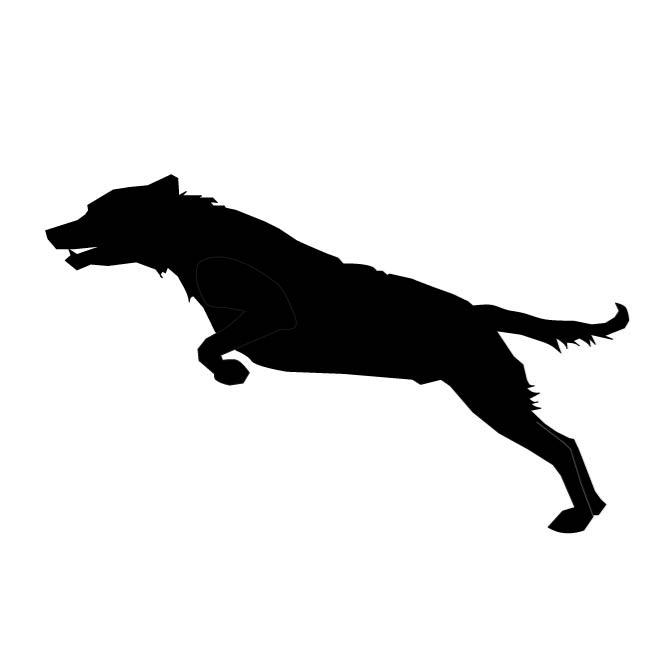 Jumping Dog 660x660 Jumping Dog