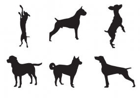 Jumping Dog Free Vector Graphic Art Free Download 285x200 Jumping Dog Free Vector Graphic Art Free Download