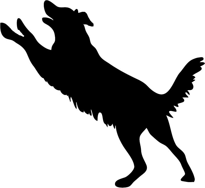 Cricut Dog Silhouette, Jumping Dog 800x732 Cricut Dog Silhouette, Jumping Dog