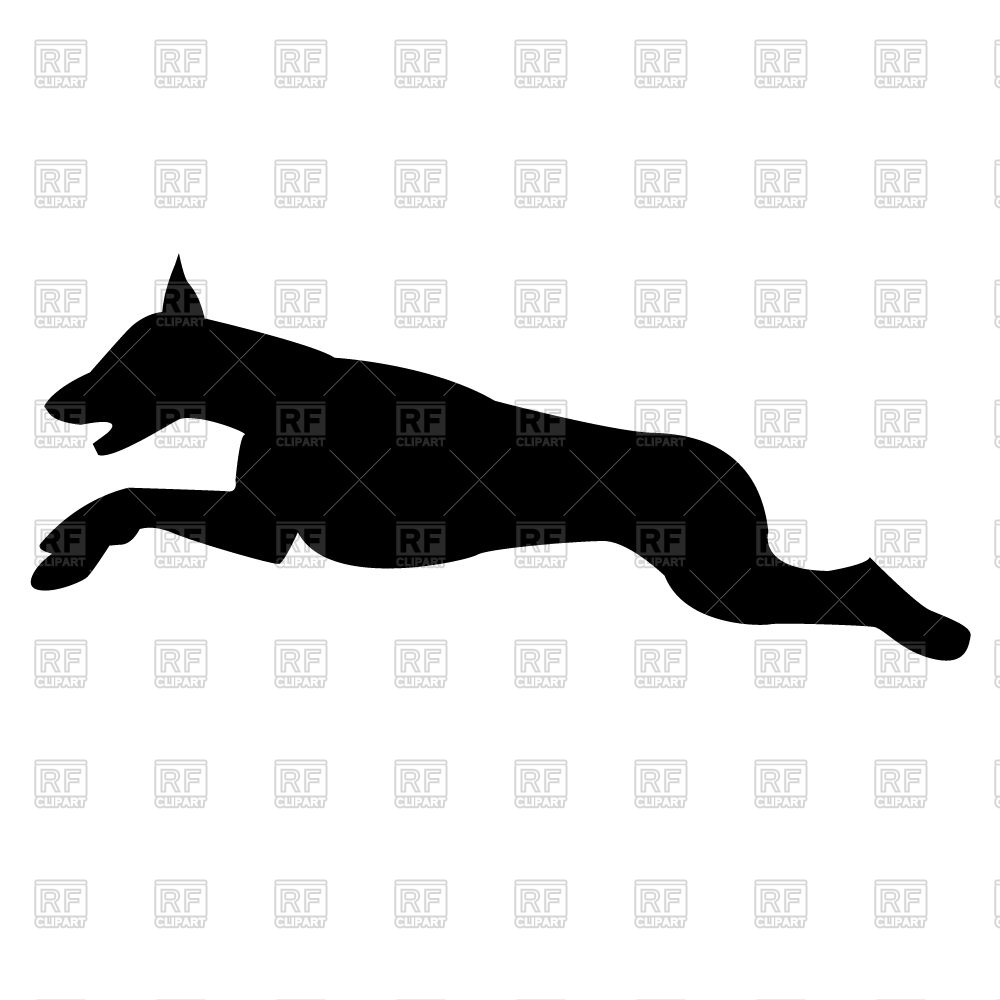 Silhouette Of Jumping Dog 1000x1000 Silhouette Of Jumping Dog