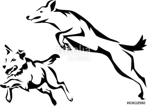 Jumping Dog Stock Image And Royalty Free Vector On Fotolia 500x361 Jumping Dog Stock Image And Royalty Free Vector On Fotolia