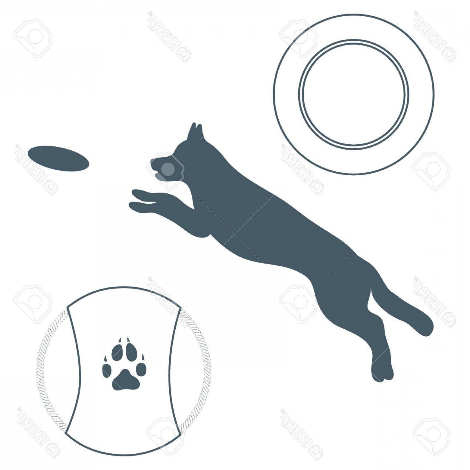 Dog Frisbee Vector Studiogrfx 1560x1560 Dog Frisbee Vector Studiogrfx