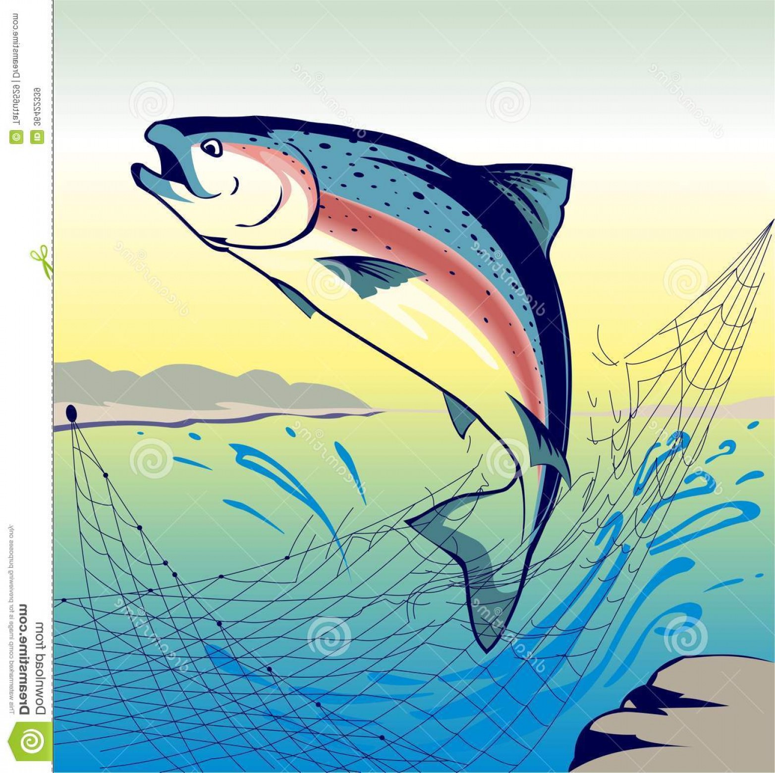 Royalty Free Stock Images Jumping Fish Salmon Illustration Vector 1564x1560 Royalty Free Stock Images Jumping Fish Salmon Illustration Vector