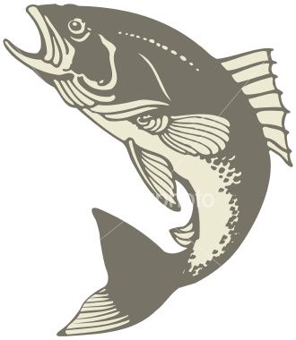 Simple Fish Illustration May Be Used As Part Of An Illustration 330x380 Simple Fish Illustration May Be Used As Part Of An Illustration