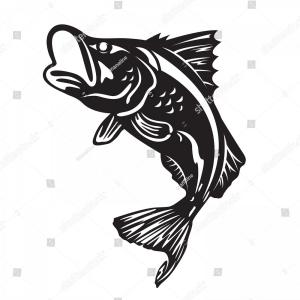 Download Jumping Fish Vector at Vectorified.com | Collection of ...