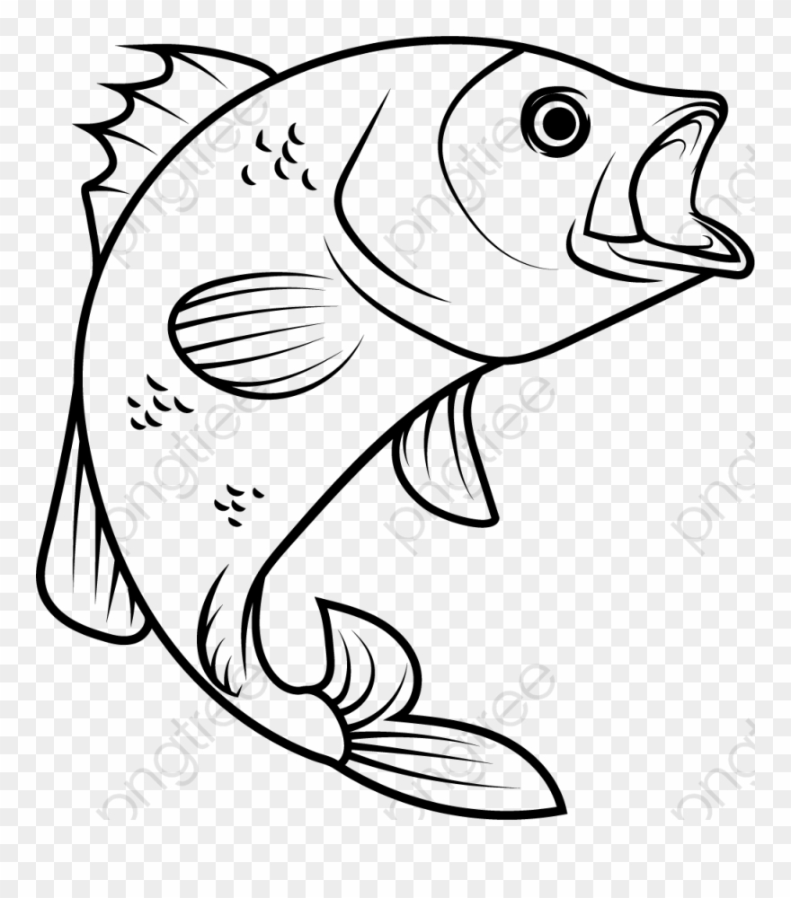 Vector Clipart Fish 880x1000 Vector Clipart Fish
