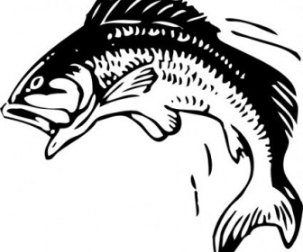 Vector Jumping Fish Vector Clip Art 336x280 Vector Jumping Fish Vector Clip Art