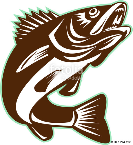 Walleye Fish Jumping Isolated Retro Stock Image And Royalty Free 459x500 Walleye Fish Jumping Isolated Retro Stock Image And Royalty Free