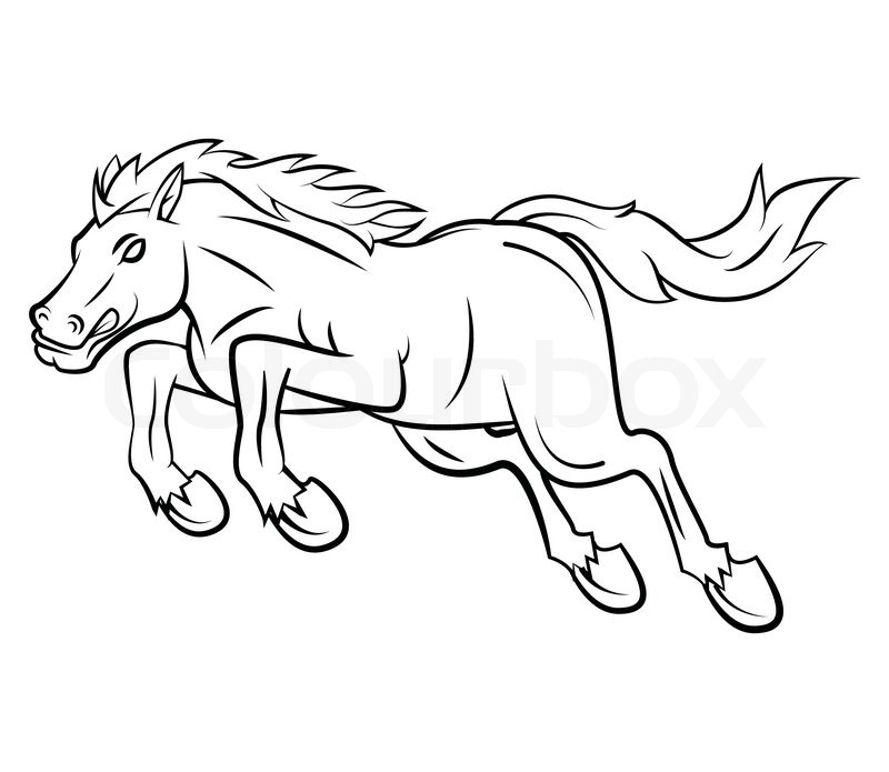 800x695 Jumping Horse Vector Illustration Stock Vector Colourbox