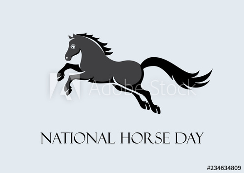 500x354 National Horse Day Vector Black Horse On A Gray Background