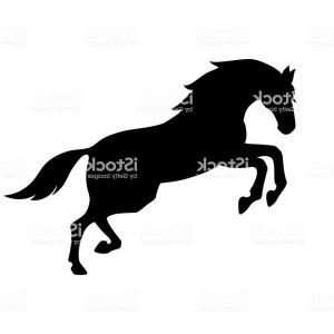 300x300 Photoa Vector Illustration Of The Silhouette Of A Galloping Horse