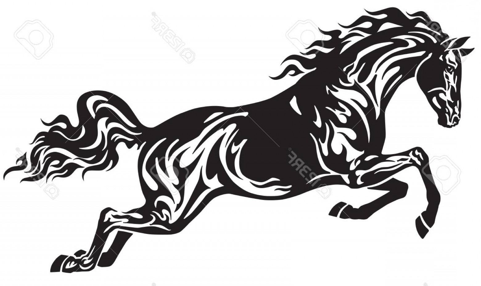 1560x928 Photostock Vector Jumping Horse Stallion Side View Black And White