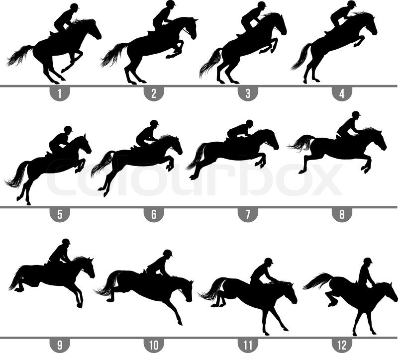 800x710 Set Of Jumping Horse Phases Stock Vector Colourbox