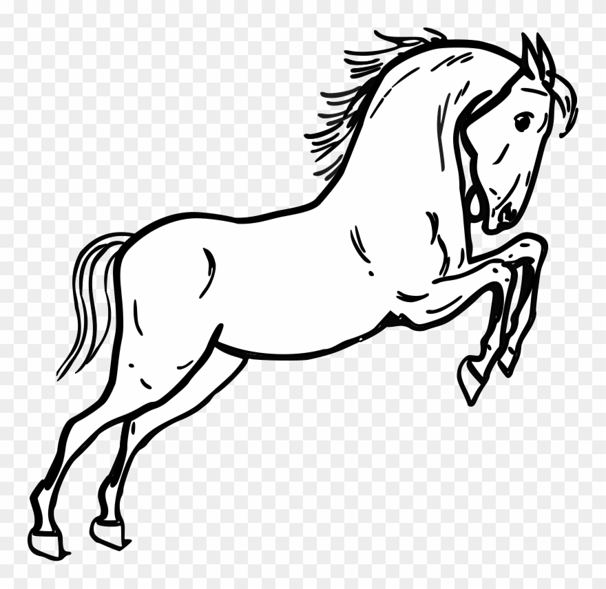880x856 Free Vector Jumping Horse Outline Clip Art