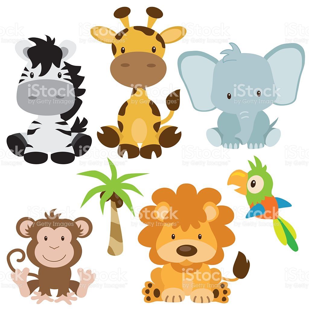 1024x1024 Jungle Animal Vector Illustracion Libre De Derechos