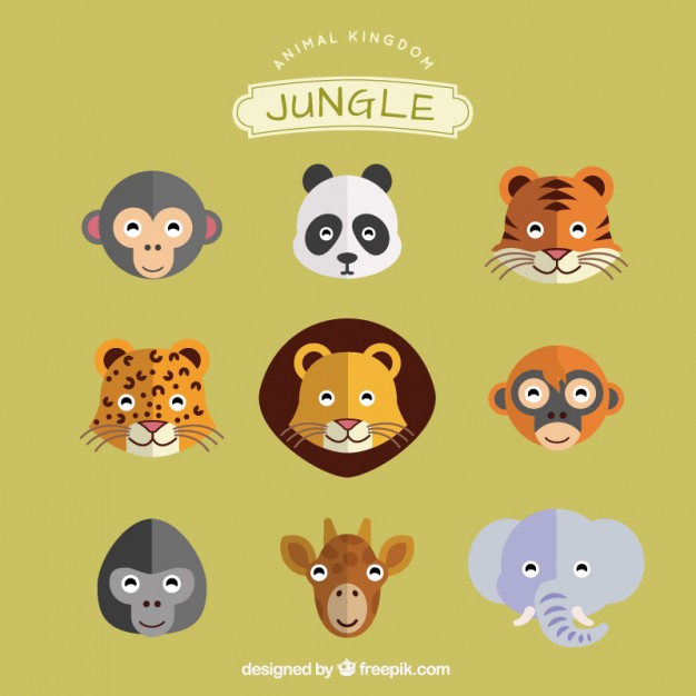 626x626 Jungle Animals Set Vector Free Download